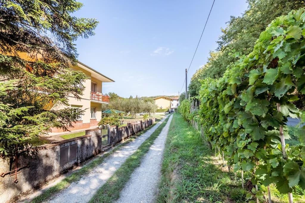 Appartamento Poggio Del Sole Lucca Eksteriør bilde
